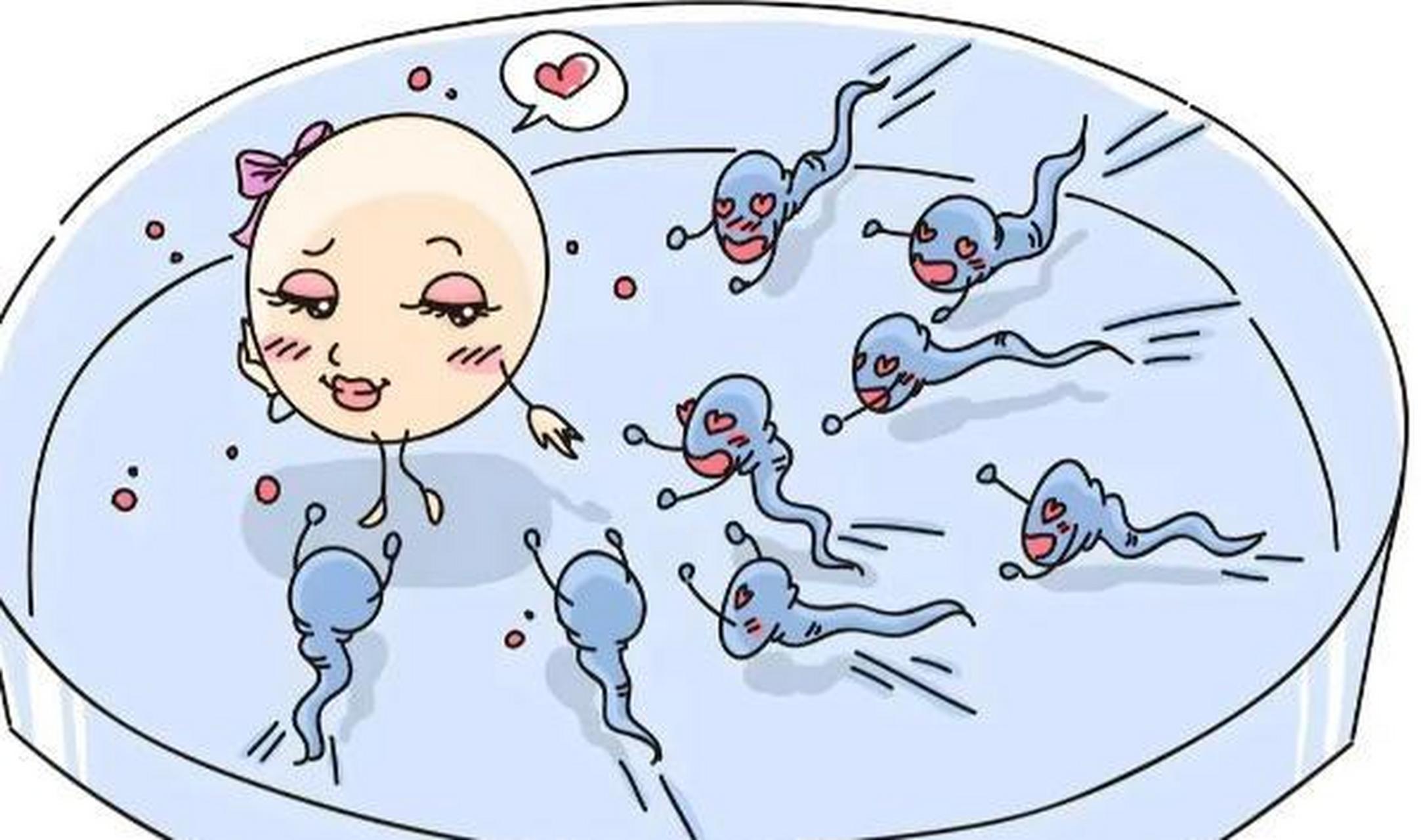  i class="emoji emoji_52_like"> /i>[赞]人类为何非要男女交配才能