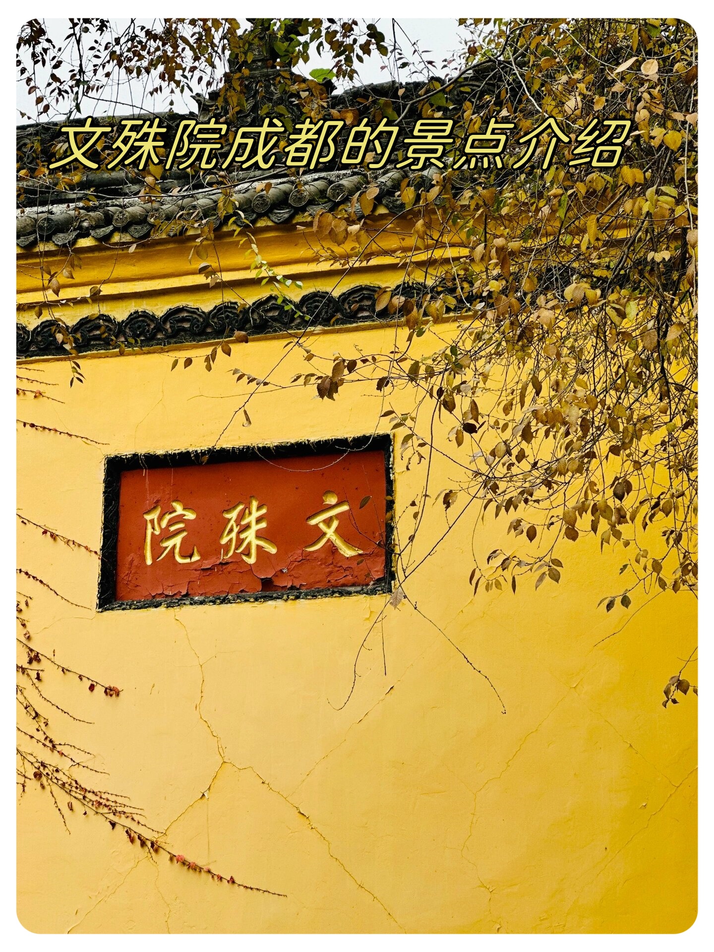 文殊院成都的景点介绍
