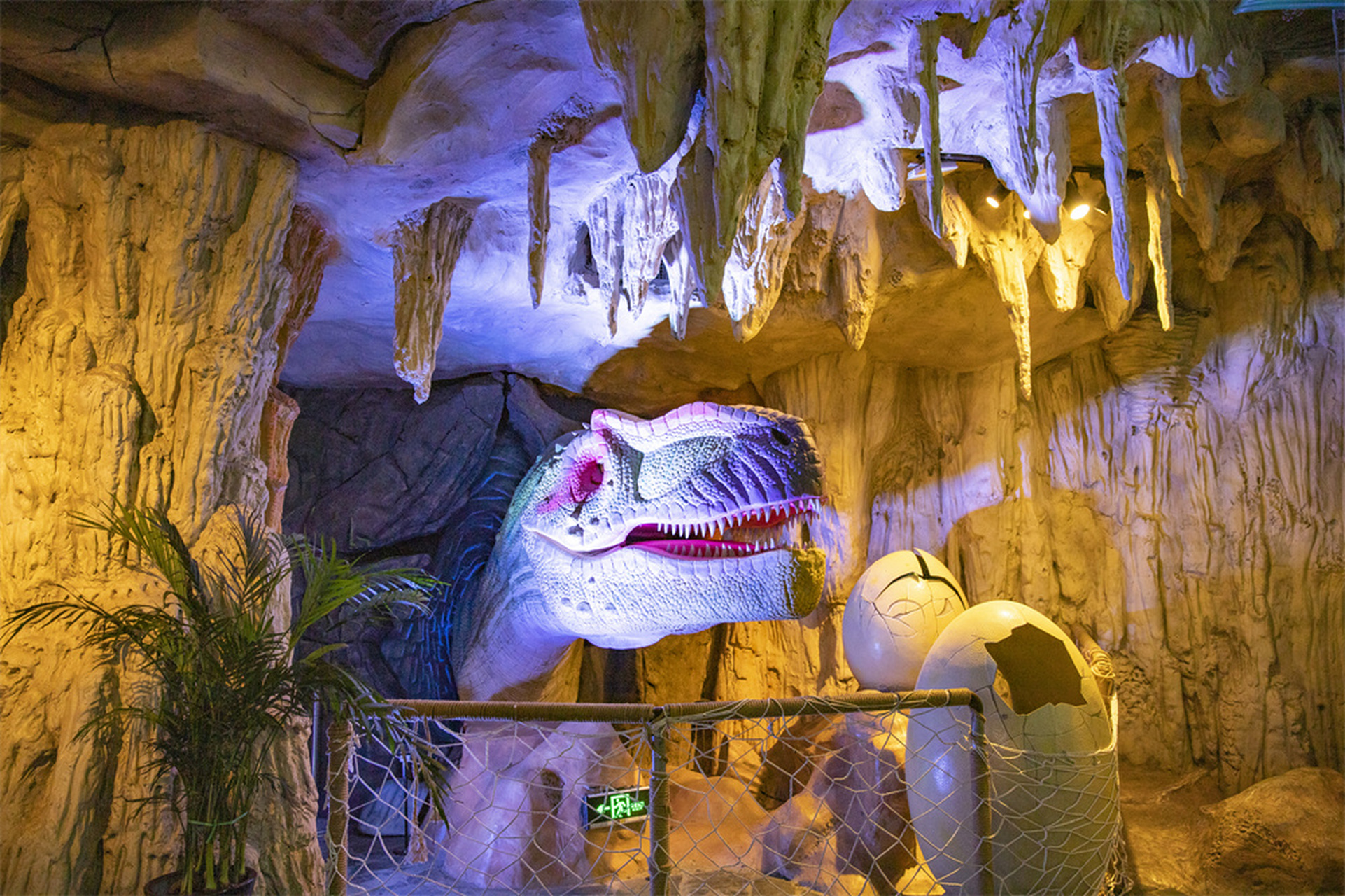 重庆四季好风光# 重庆巴南汉海海洋公园真是太好玩啦.