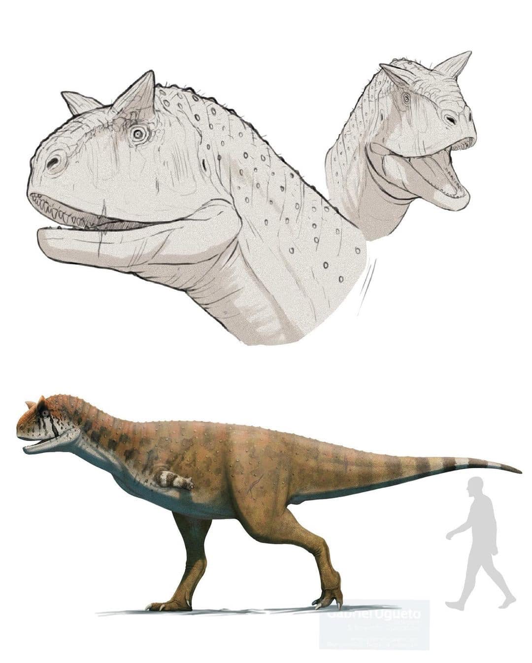 今天我要和大家分享一件让我彻底被圈粉的艺术作品
