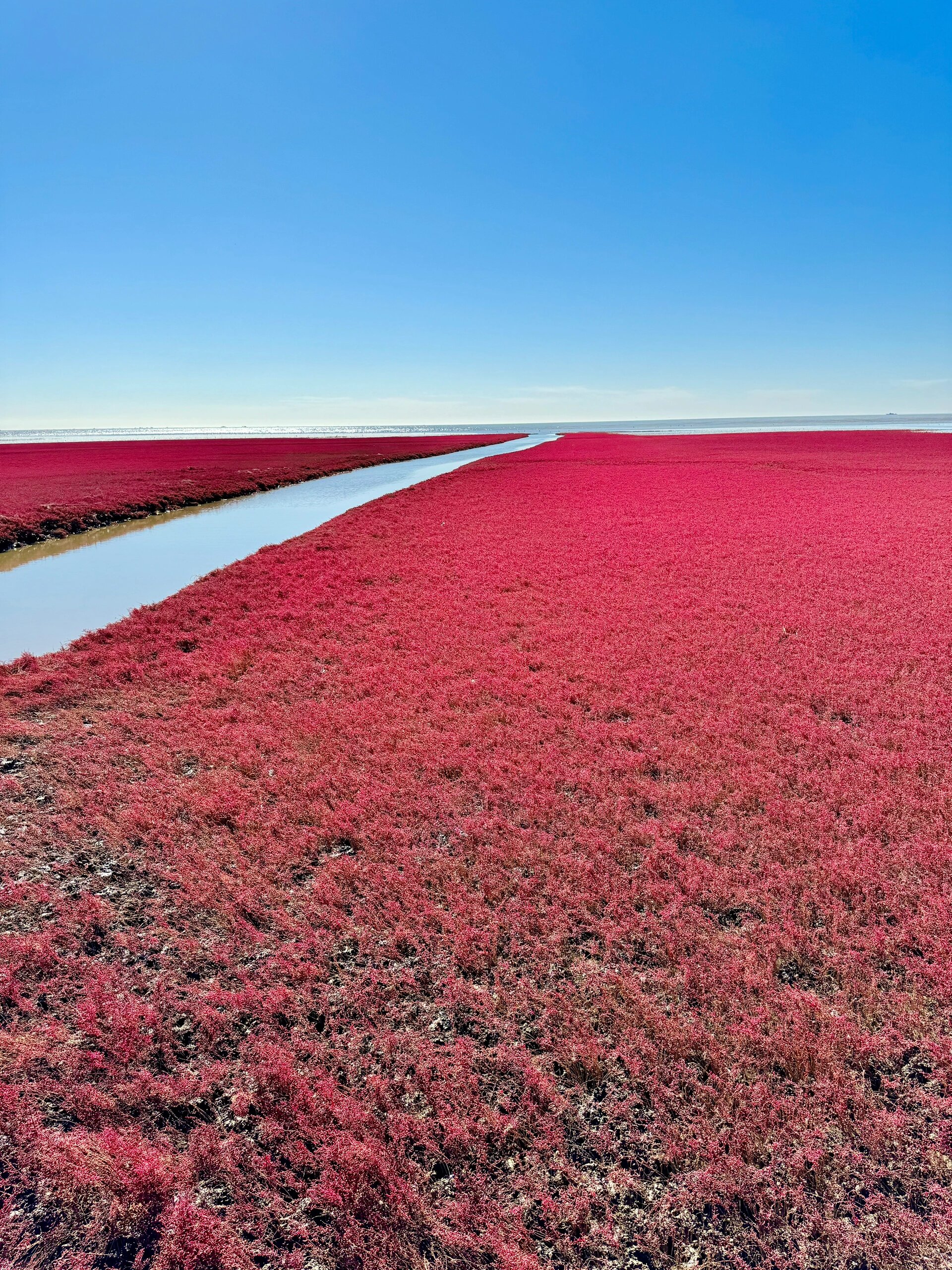 营口必去三个景点   鲅鱼圈海滨风景区:作为营口的标志性景点,鲅鱼圈
