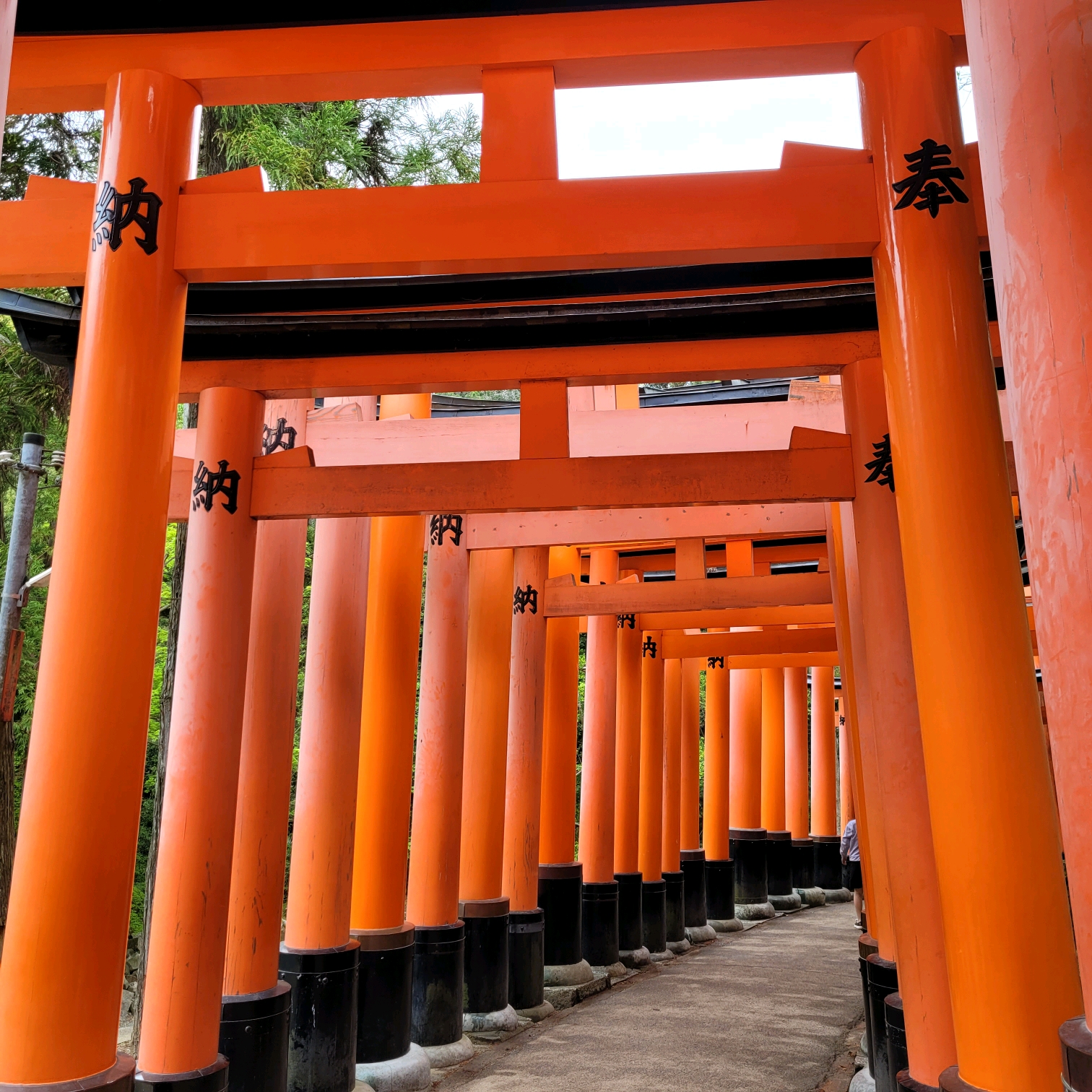 京都伏见稻荷大社的千本鸟居掠影