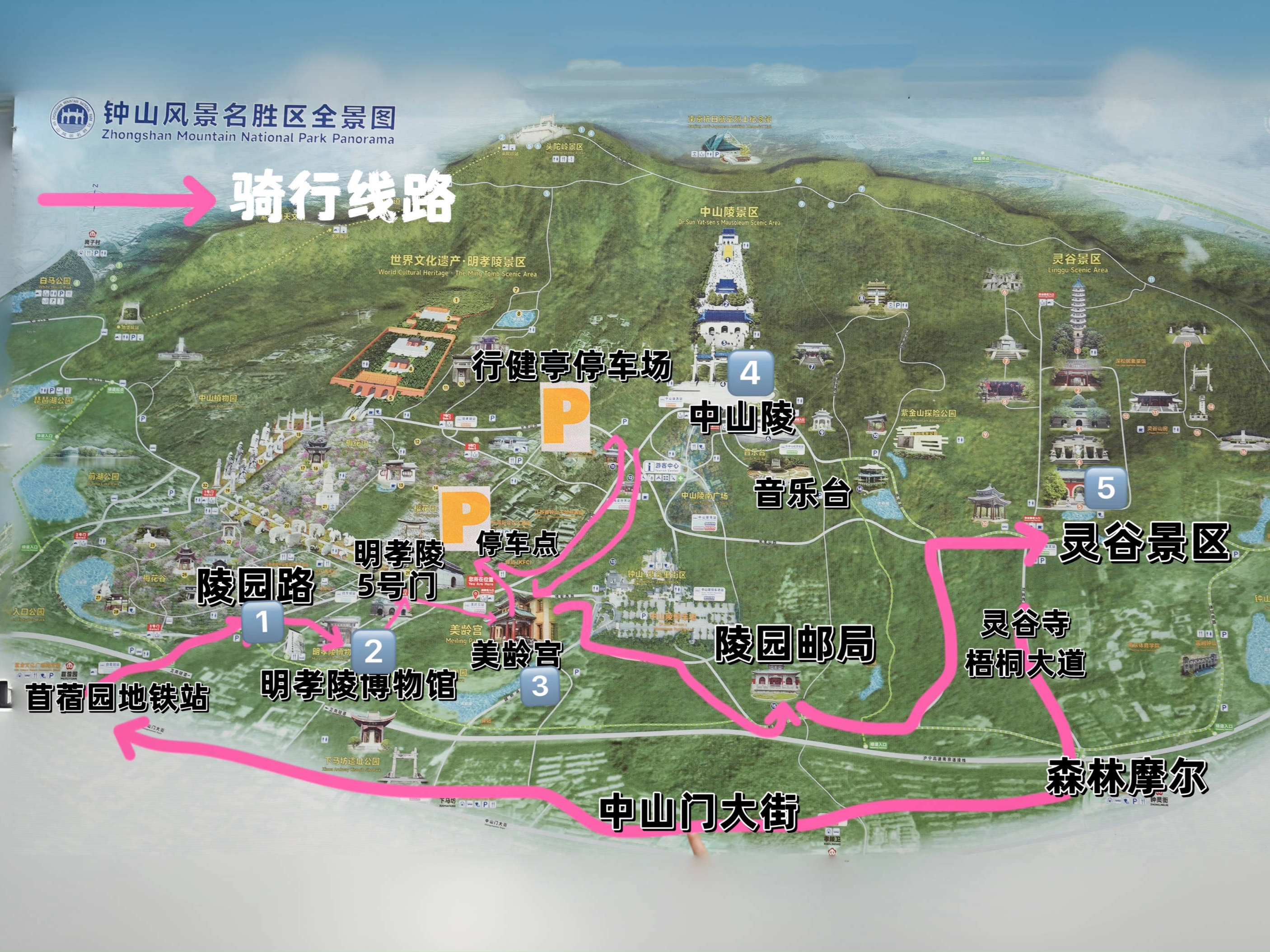 南京钟山风景区|电动车骑行线路攻略分享