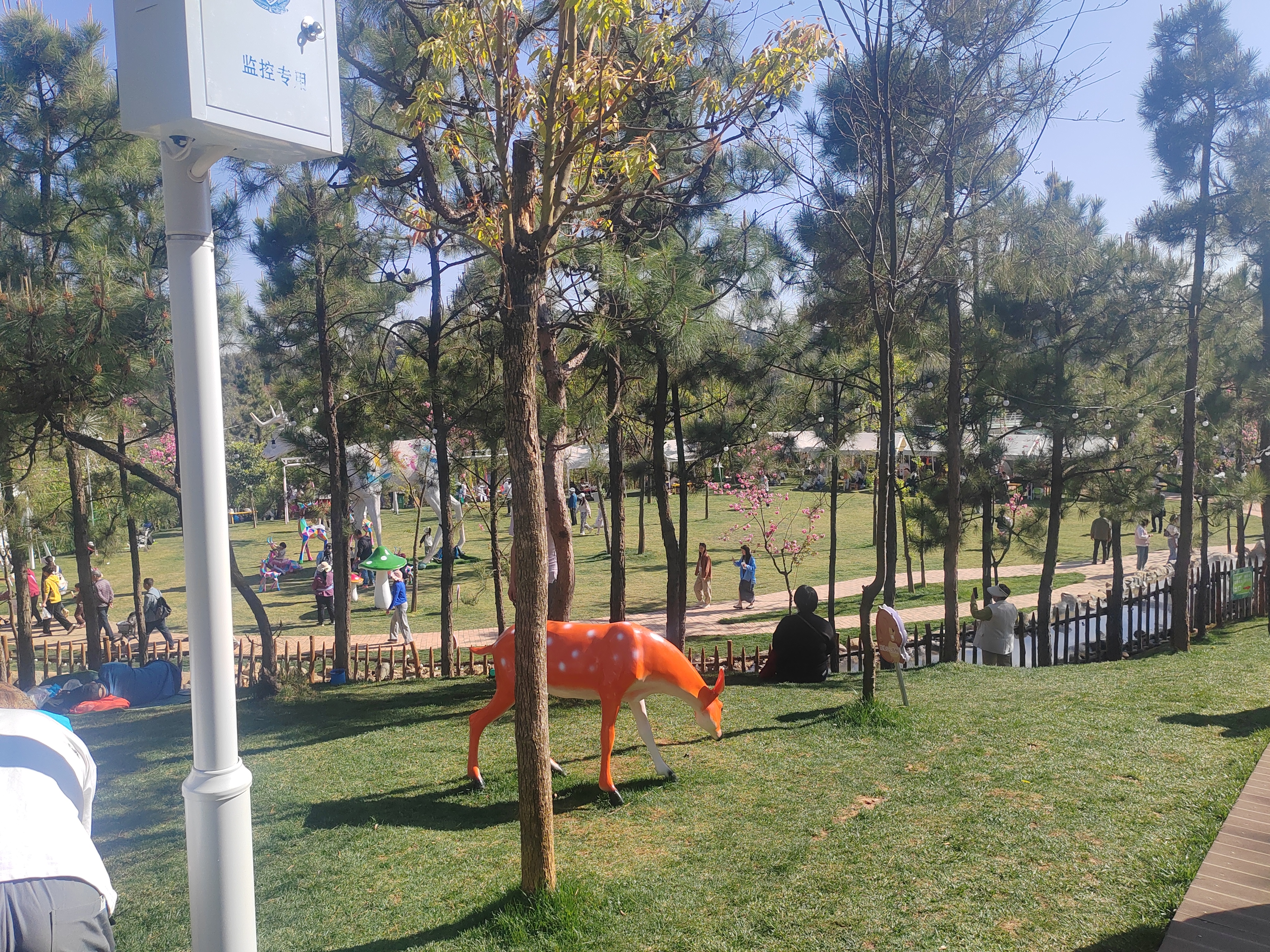 昆明白鹿森林公园是位于盘龙区青云街道办事处虹桥路的新兴休闲地