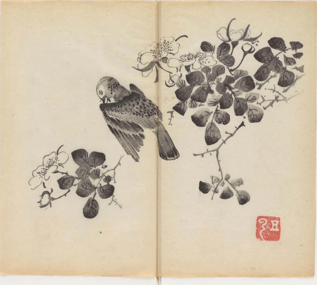 最古老的中国画谱——《十竹斋画谱》