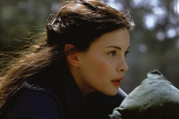 与此同时,所有正义勇敢,美丽聪明的种族,比如精灵,霍比特人和人类无一