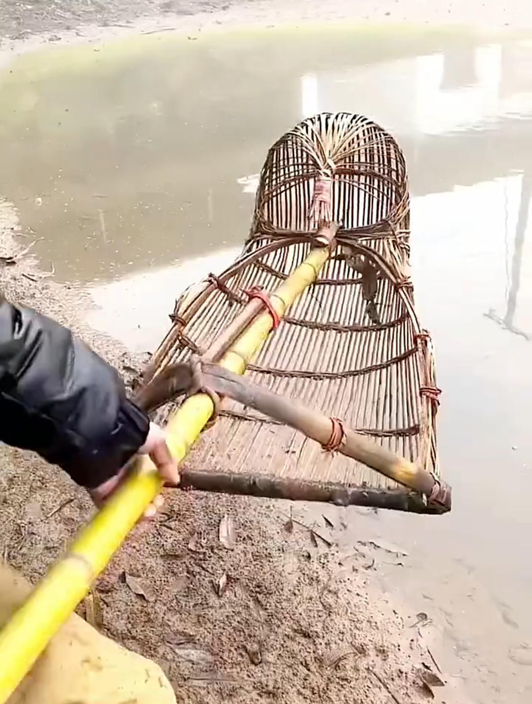 男子突然想吃鱼,自己动手做了一个捕鱼工具,测试效果还不错