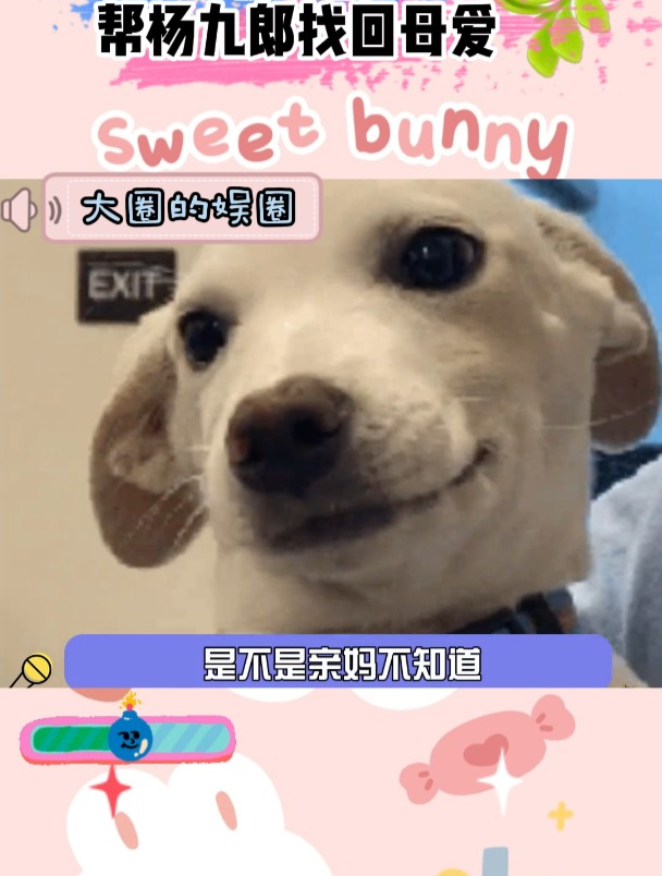 张九龄帮杨九郎找回母爱