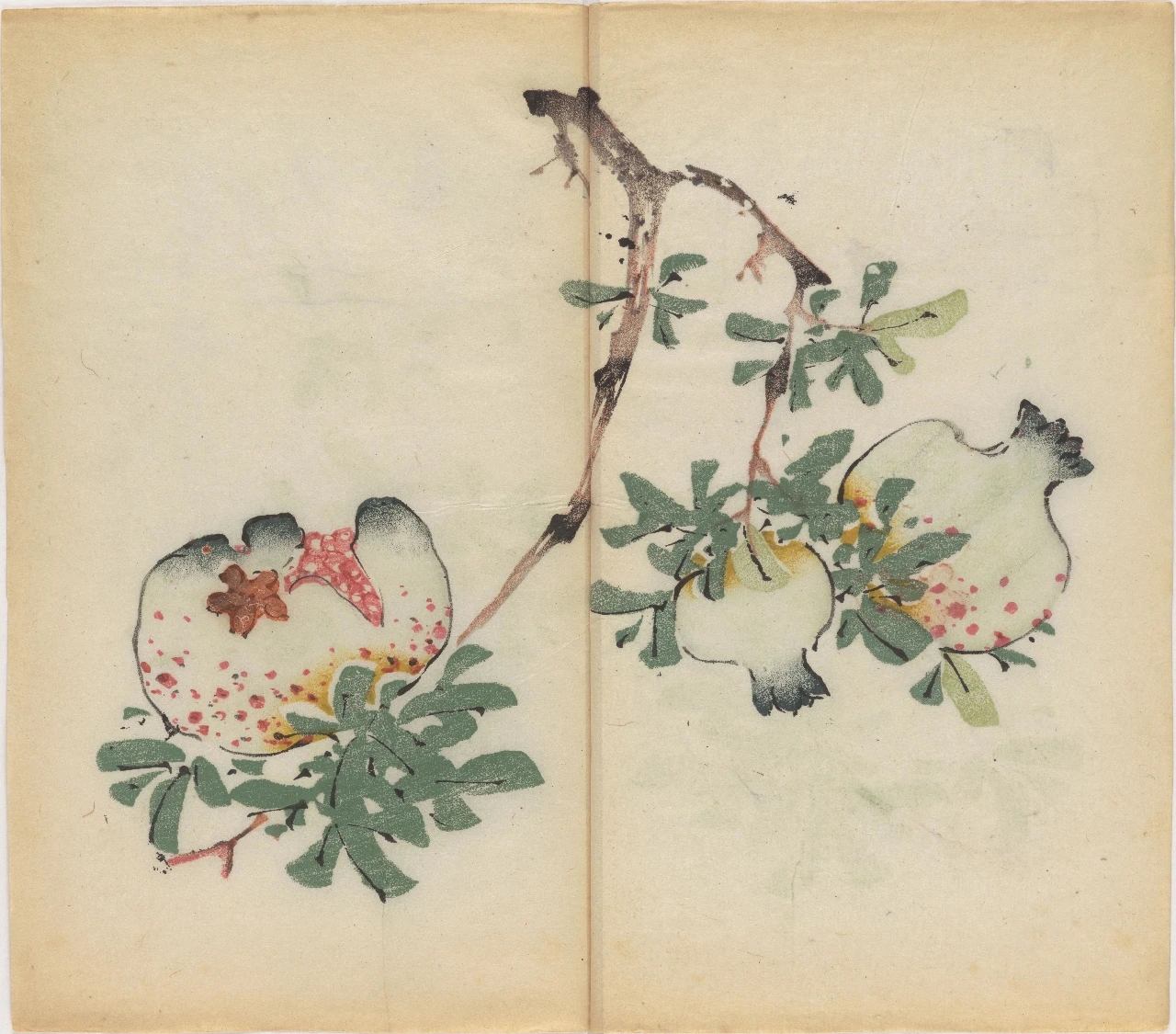 最古老的中国画谱——《十竹斋画谱》
