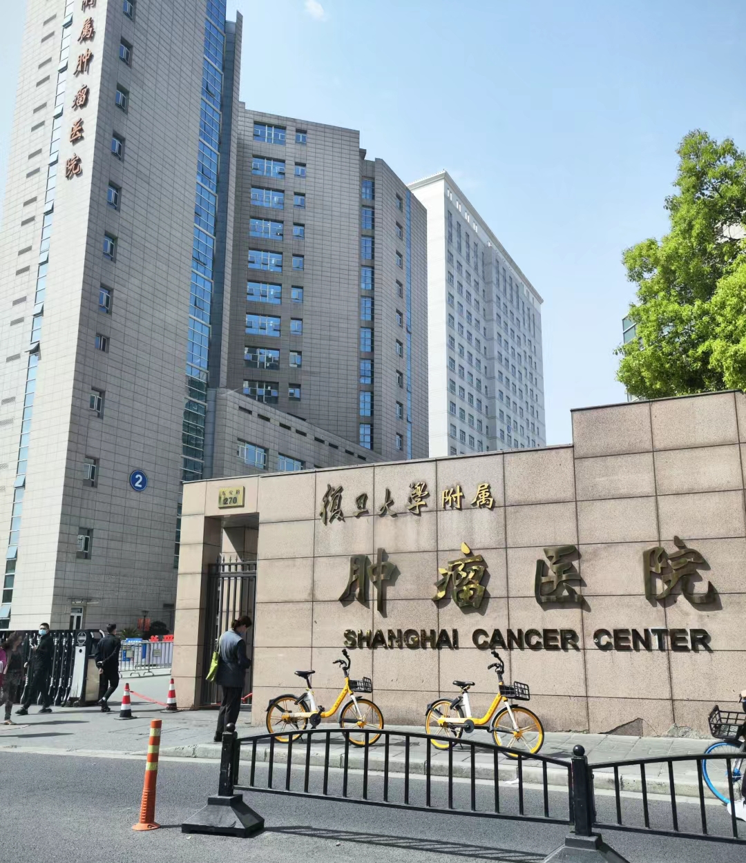 第二、上海交通大学医学院附属瑞金医院