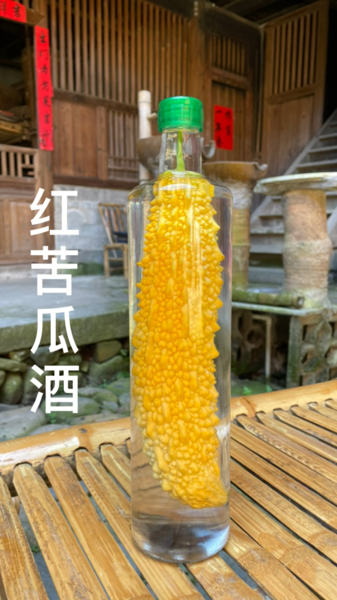 瓜熟丰收季泡瓶苦瓜酒!