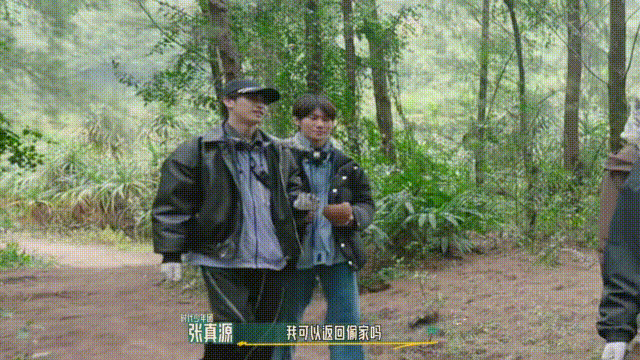 内娱无代餐的"岛综",靠什么撑起收视率?