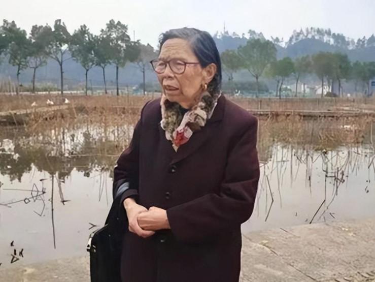 回顾"真还奶奶"陈金英:80岁欠债2077万,拒不申请破产10年全部还清