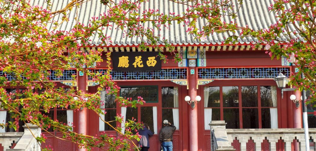 1988年西花厅海棠盛开,邓颖超想起周总理:看花的人已经走了