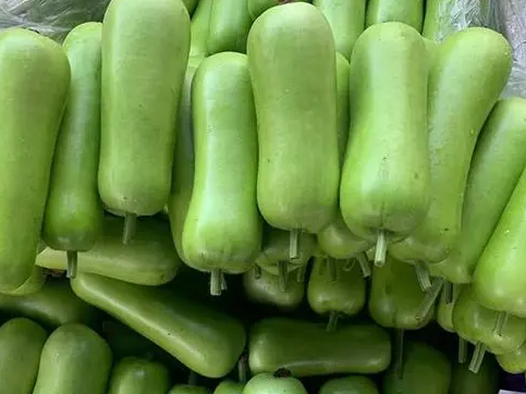 葫芦瓜的营养及食用禁忌