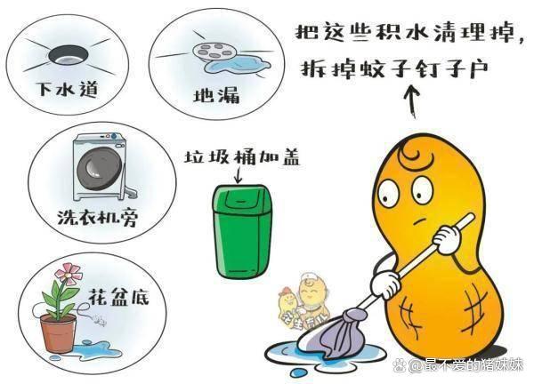 九成人不懂蚊子"天敌"是啥?教你个土招,晚上开窗都能安睡整夜