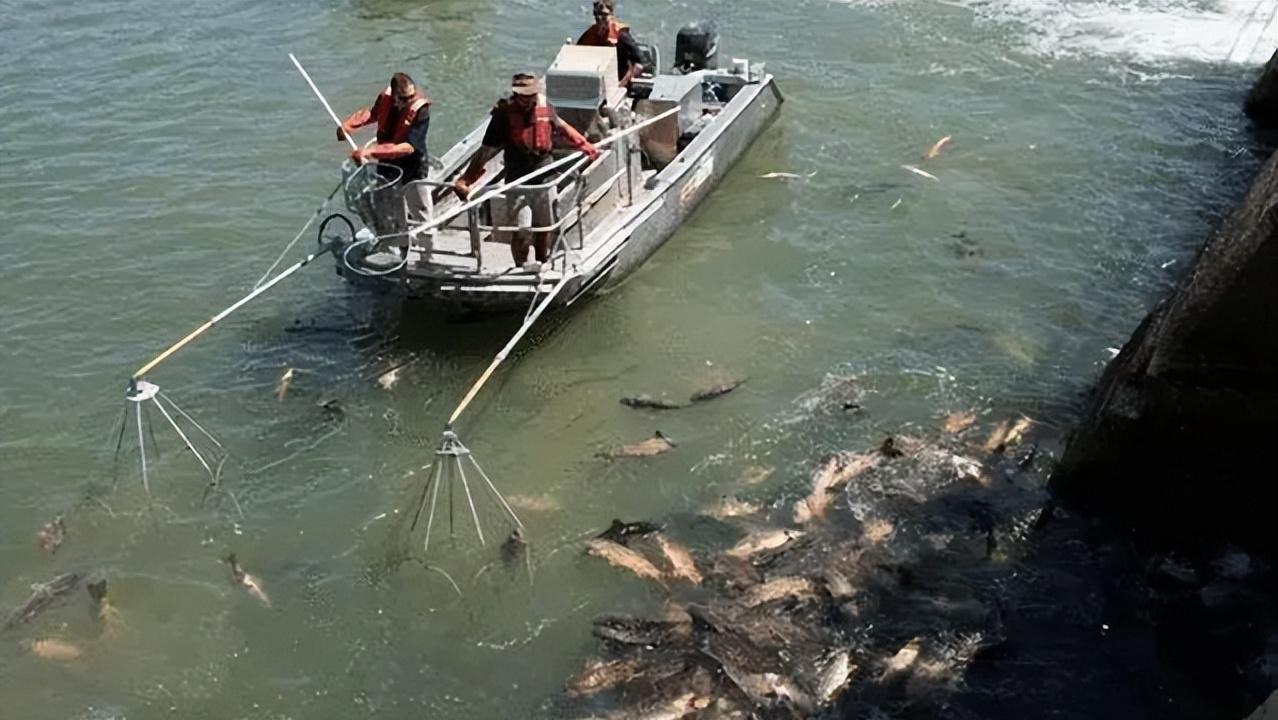"城门失火,殃及池鱼"