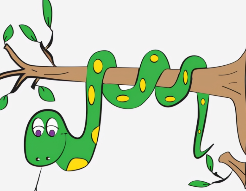 回顾:女子与二十条蛇同居十五年,从没被咬过,难道蛇也有感情?