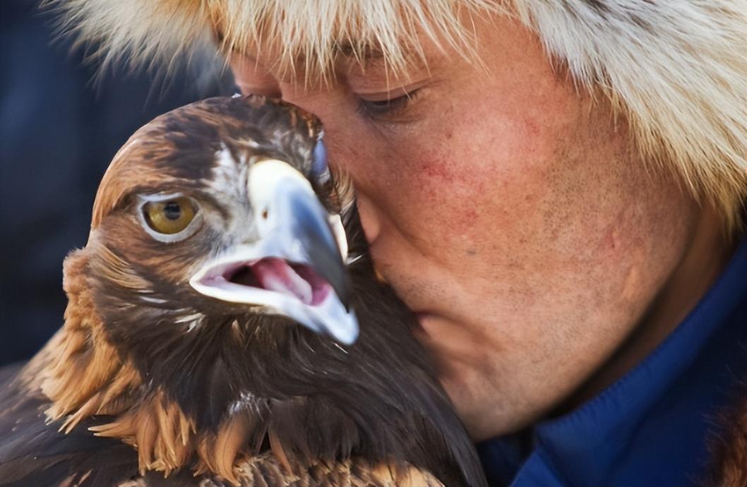 回顾神秘的"熬鹰术"有多残忍?一人一鹰7天不合眼,只为将金雕驯化