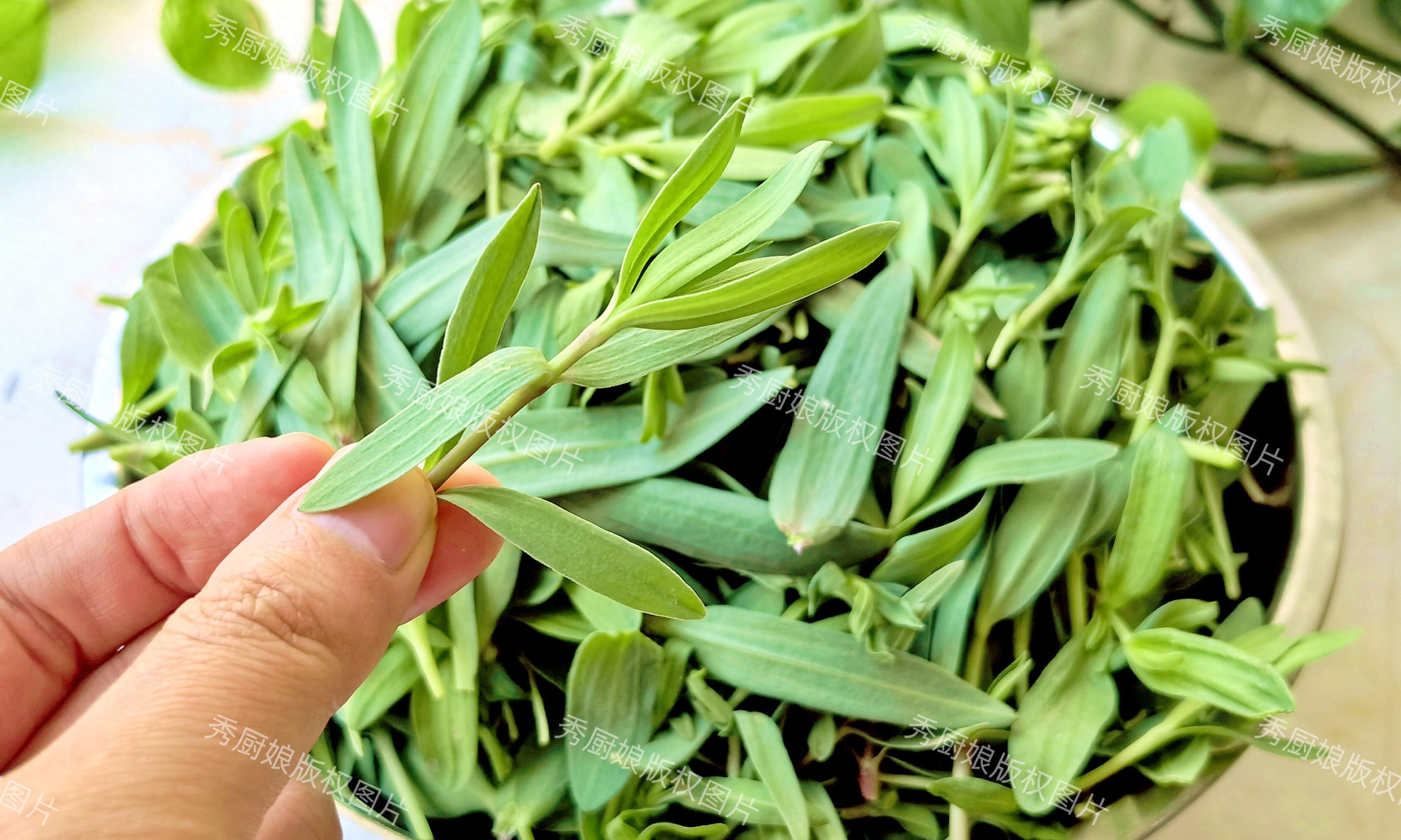 4月下旬到五月初,正值谷雨时节,大地回春,春意盎然.