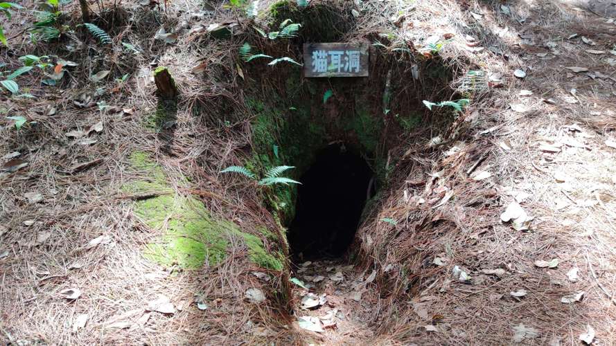 1984年自卫反击战,一战士误闯敌营:来都来了,不能空手而归