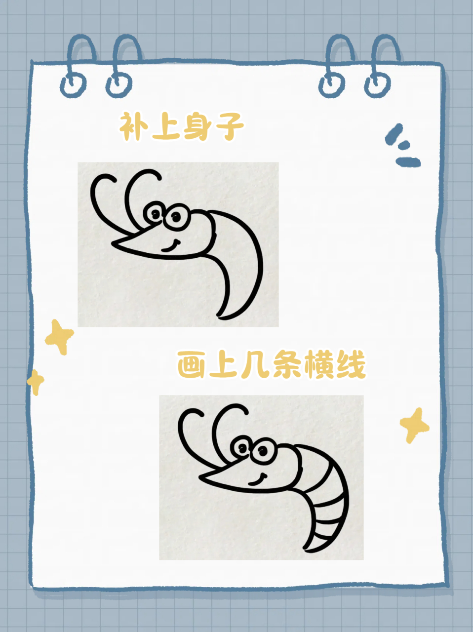 虾怎么画  来和大家分享一下虾的简笔画画法  我一直觉得虾是一种很有