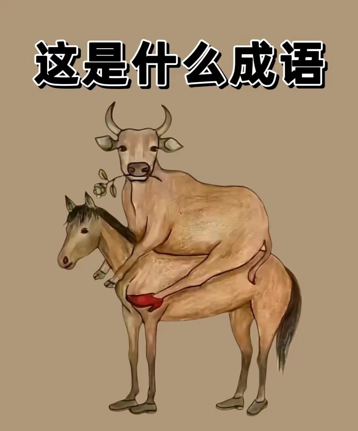 网友评论:1.看图猜成语?那我得先把眼镜找出来! 2.