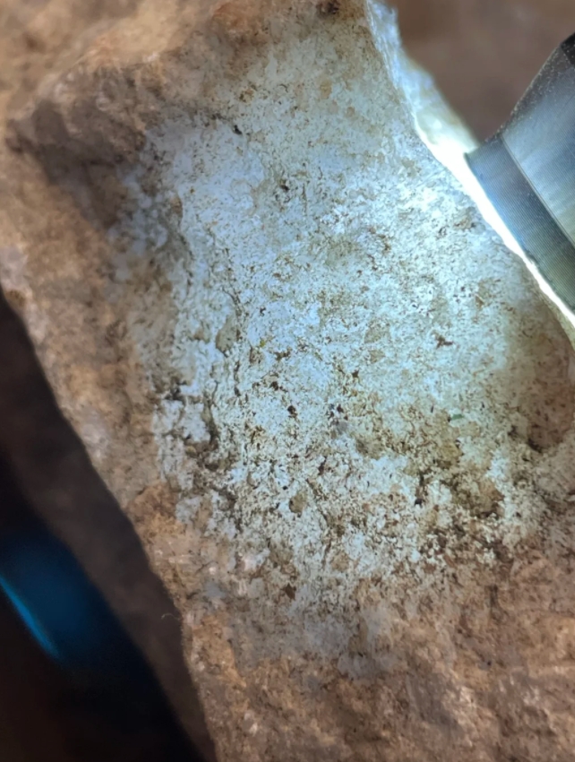 翡翠原石# 翡翠原石以其独特的色彩和质地成为了珠宝界的璀璨明珠