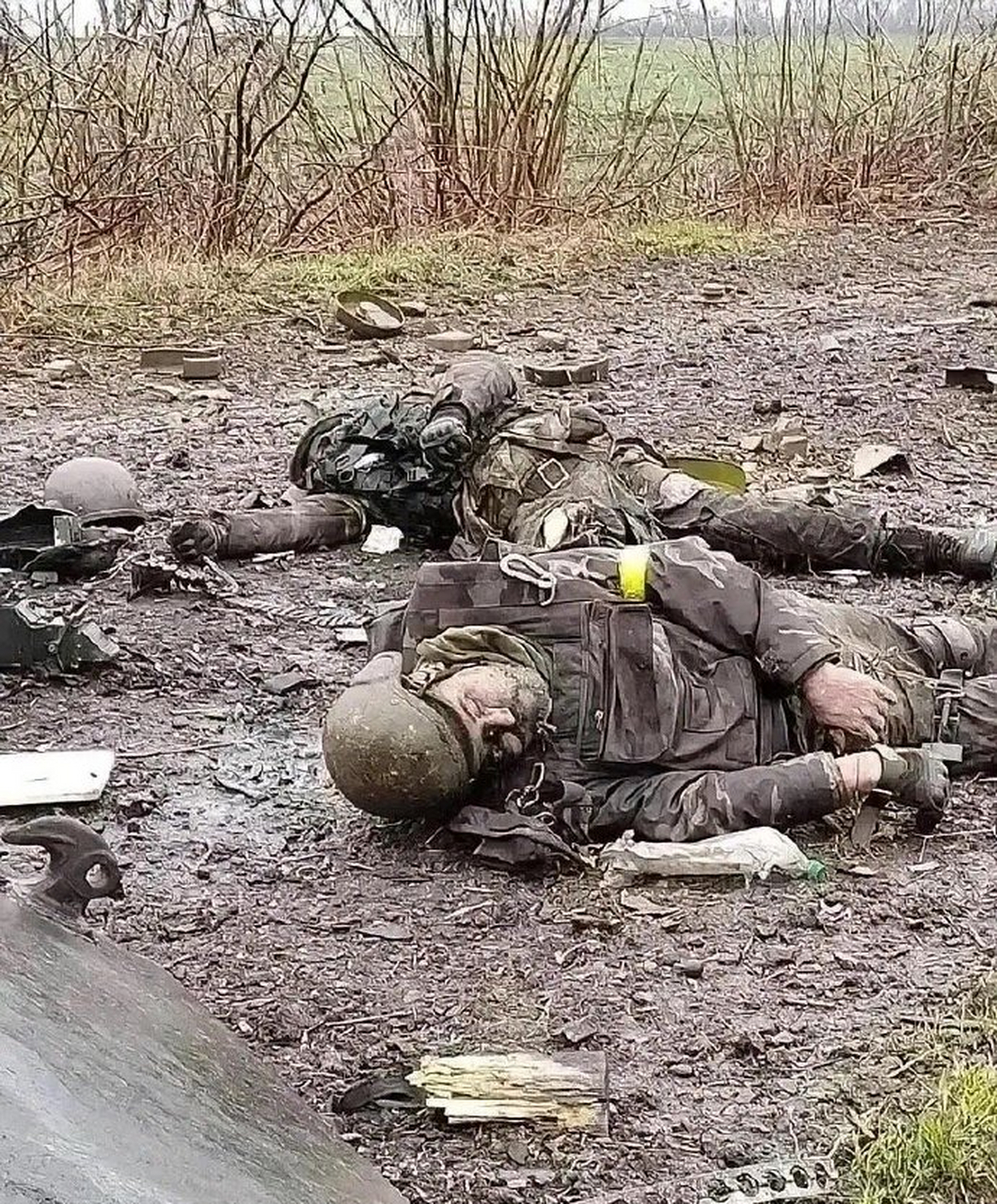 前些日子,欧洲搅屎棍的英国派出了自己的雇佣兵,前往俄罗斯破坏当地的