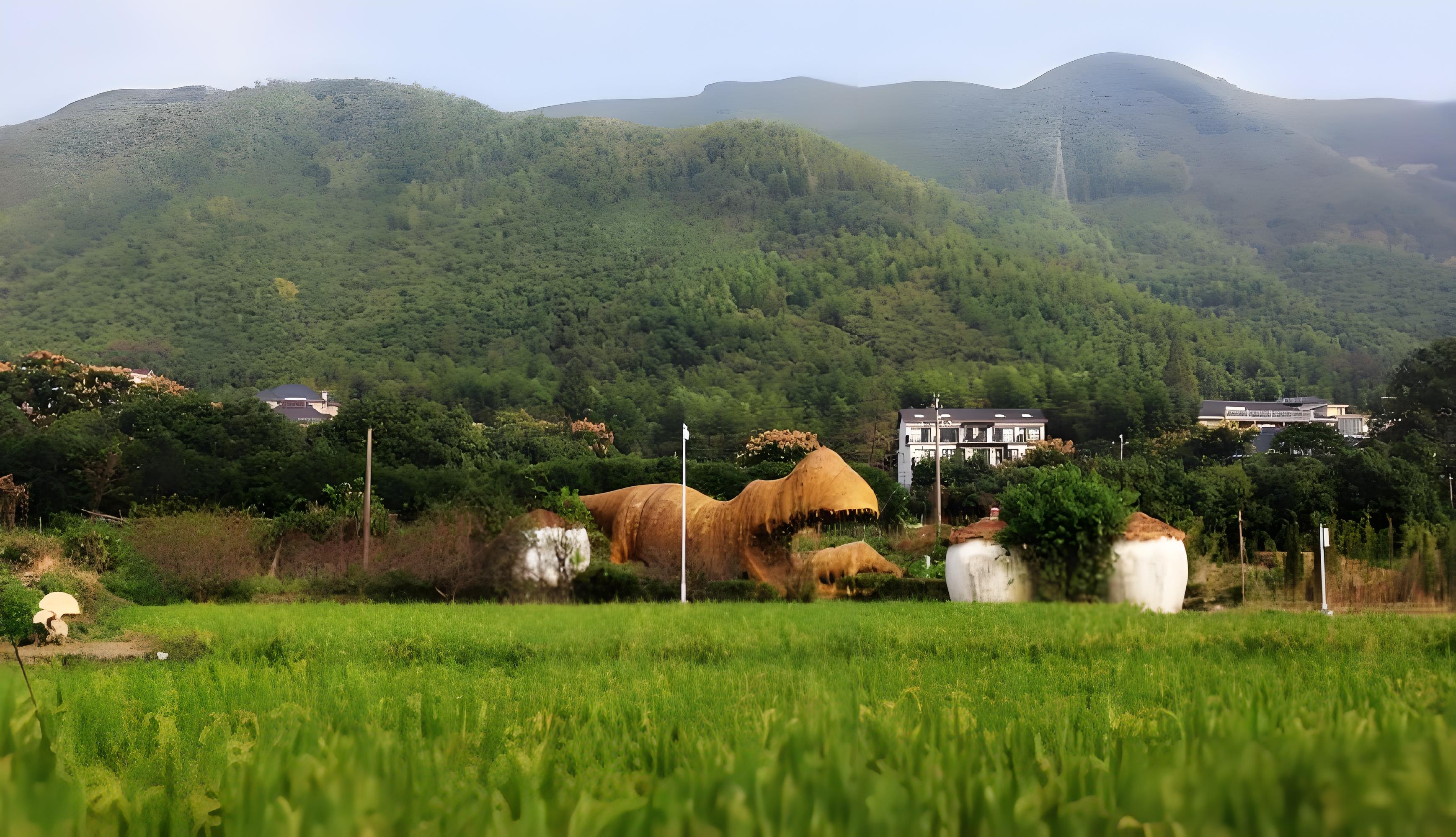 这个村,蹚出"宅改"新路子,变民宿村为"共富村",竟吸引300人返乡创业!