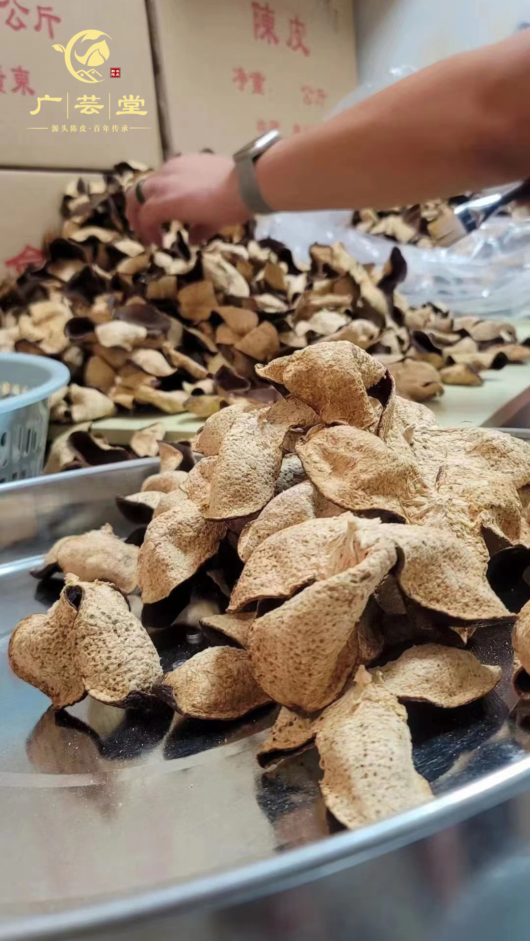 前两天一个粉丝茶友说他买到一款奇怪的陈皮外观品质没有问题
