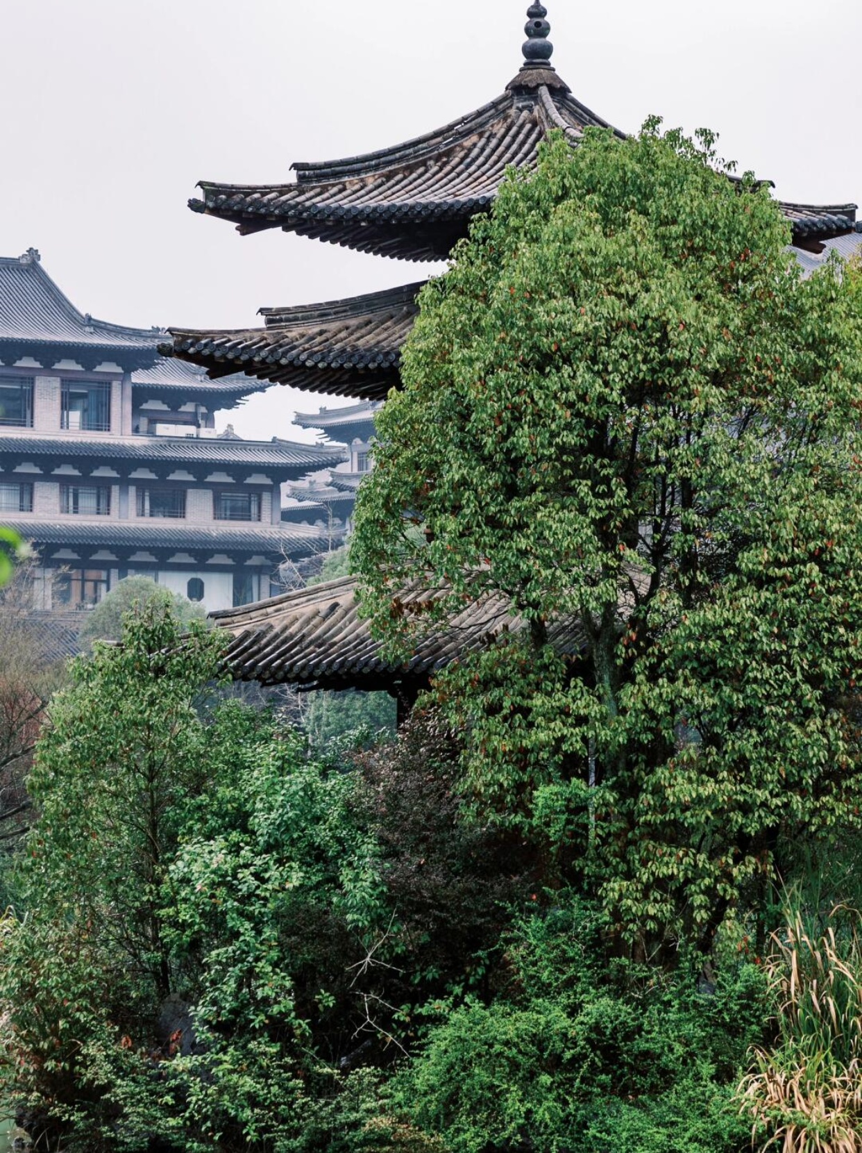 开化旅游景点  浙江的隐藏秘境真的多到令人惊叹!