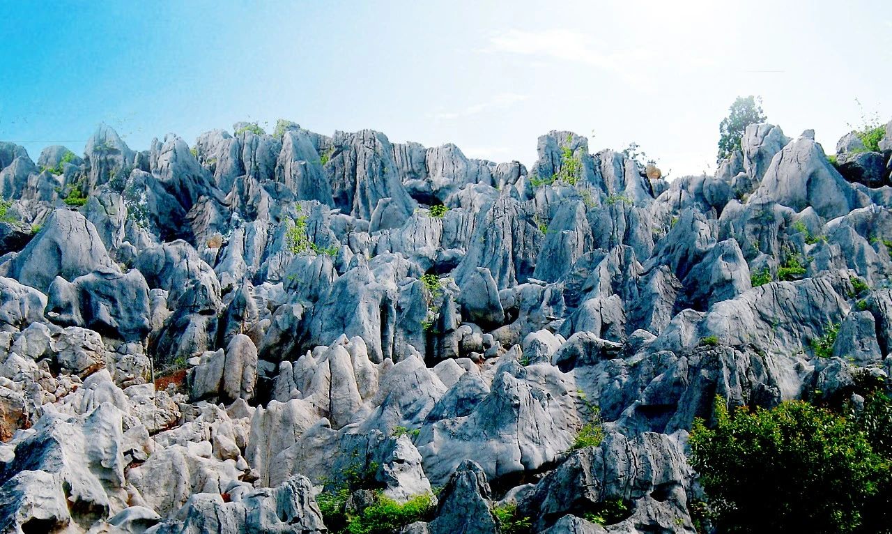 南陵县风景图片