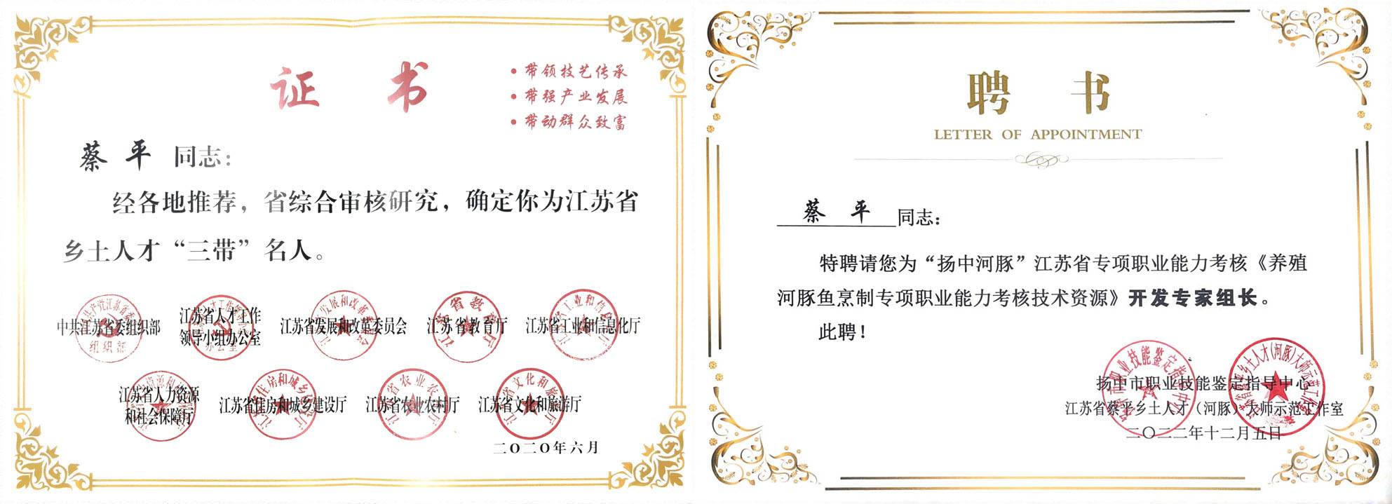 「国家名厨」蔡平 中国河豚烹饪大师 江苏省人民政府江苏工匠