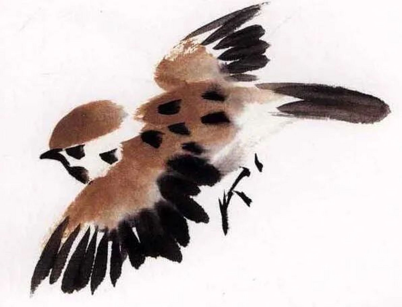 这是一组惹人喜爱的小麻雀,它们灵动活泼,自由自在,或平飞,或侧飞