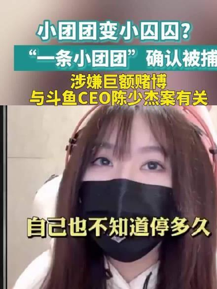 3- 5年刑期?"一条小团团"被逮捕,知情人爆出所犯罪行,活该!