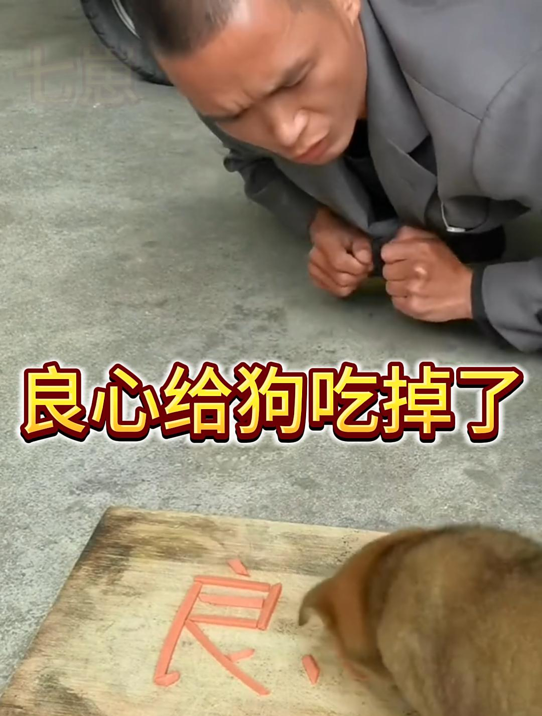 我的良心给狗吃了