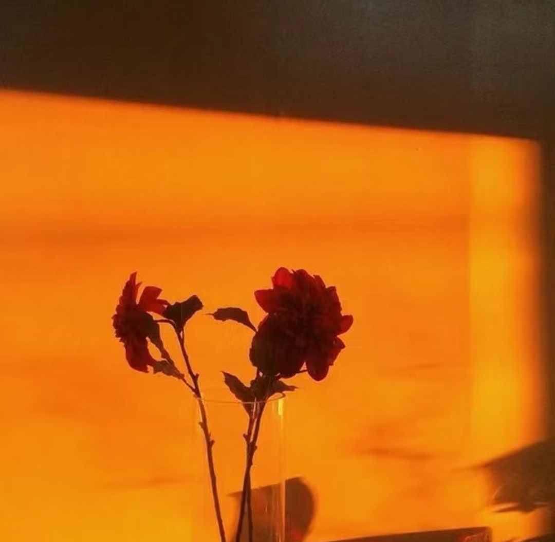 橘色系|氛围感背景图