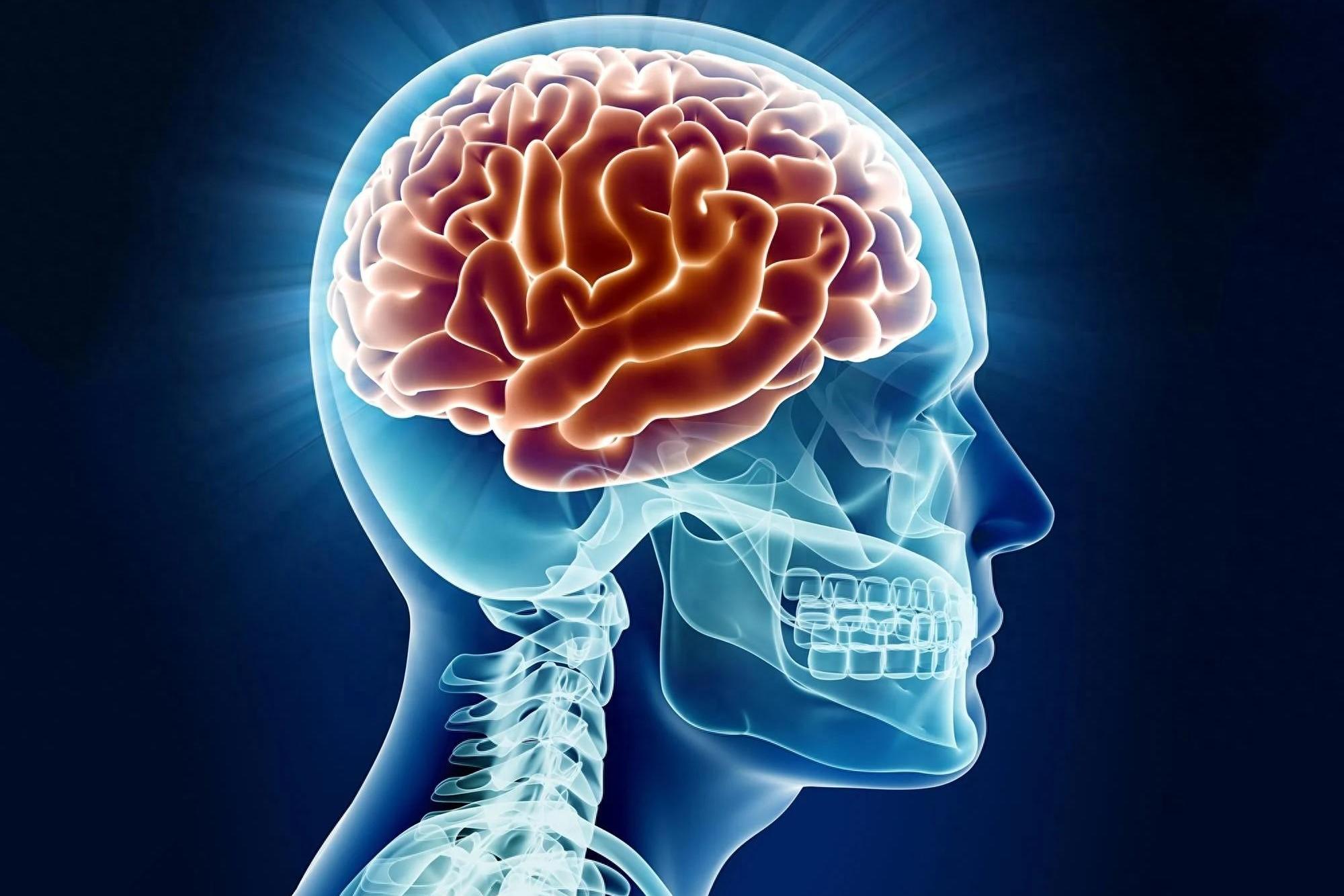 30年代后出生的人大脑尺寸逐渐扩大,与健康,社会和文化等因素有关