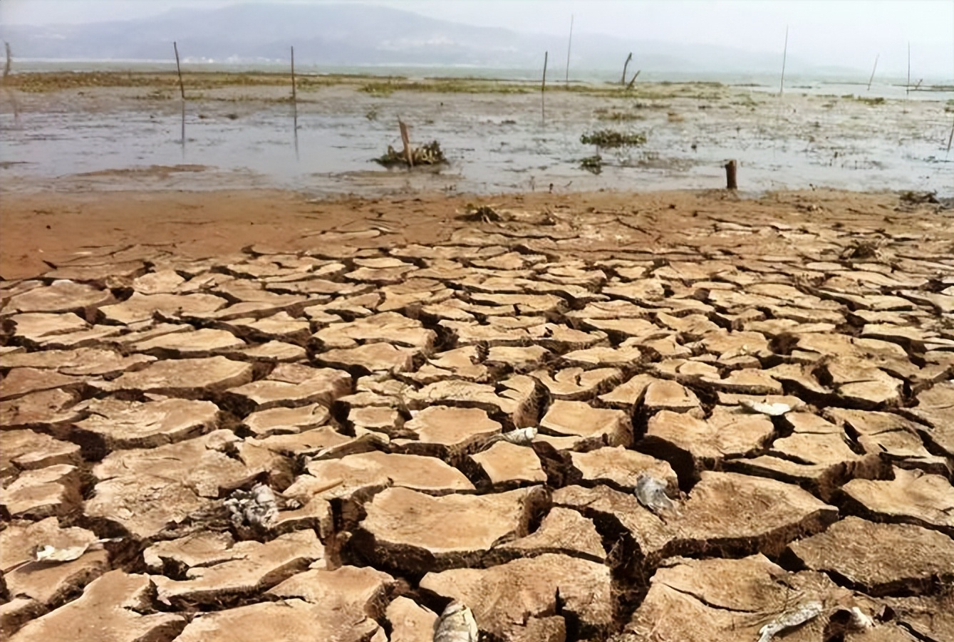 回顾黄沙遍地的非洲国家:首都不比我国农村,喝不上水却顿顿吃肉