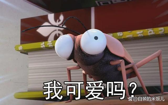 九成人不知"蟑螂天敌"是啥:室内放1个它,蟑螂"消失不见"了