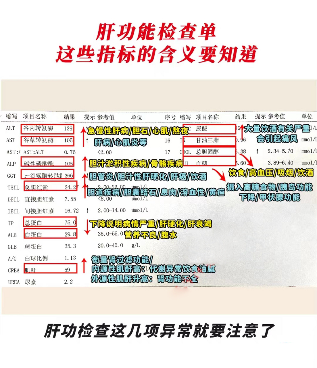 肝功能分级标准最新图片