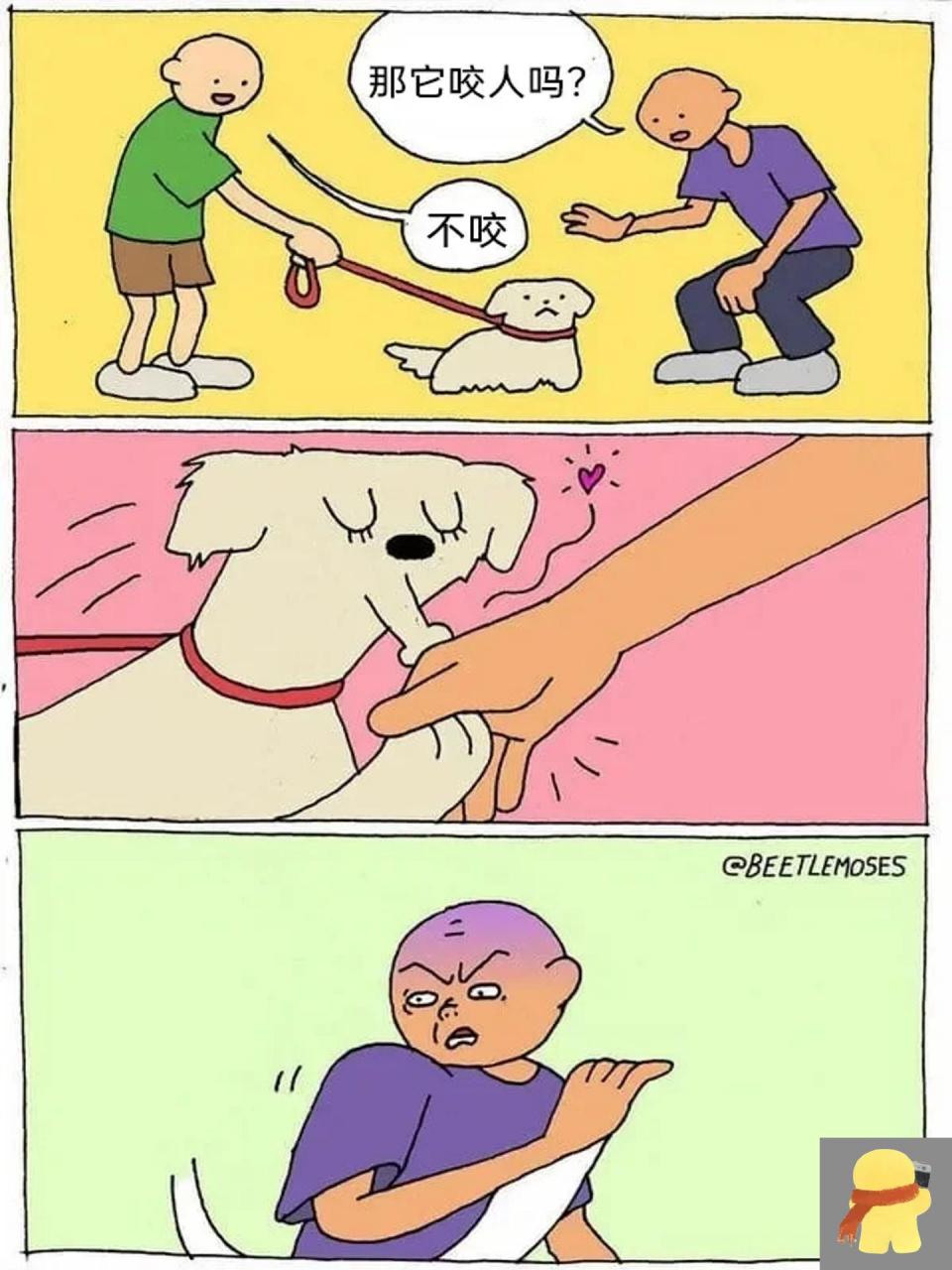meme梗图:你的狗咬人吗? 95 一个发无水印