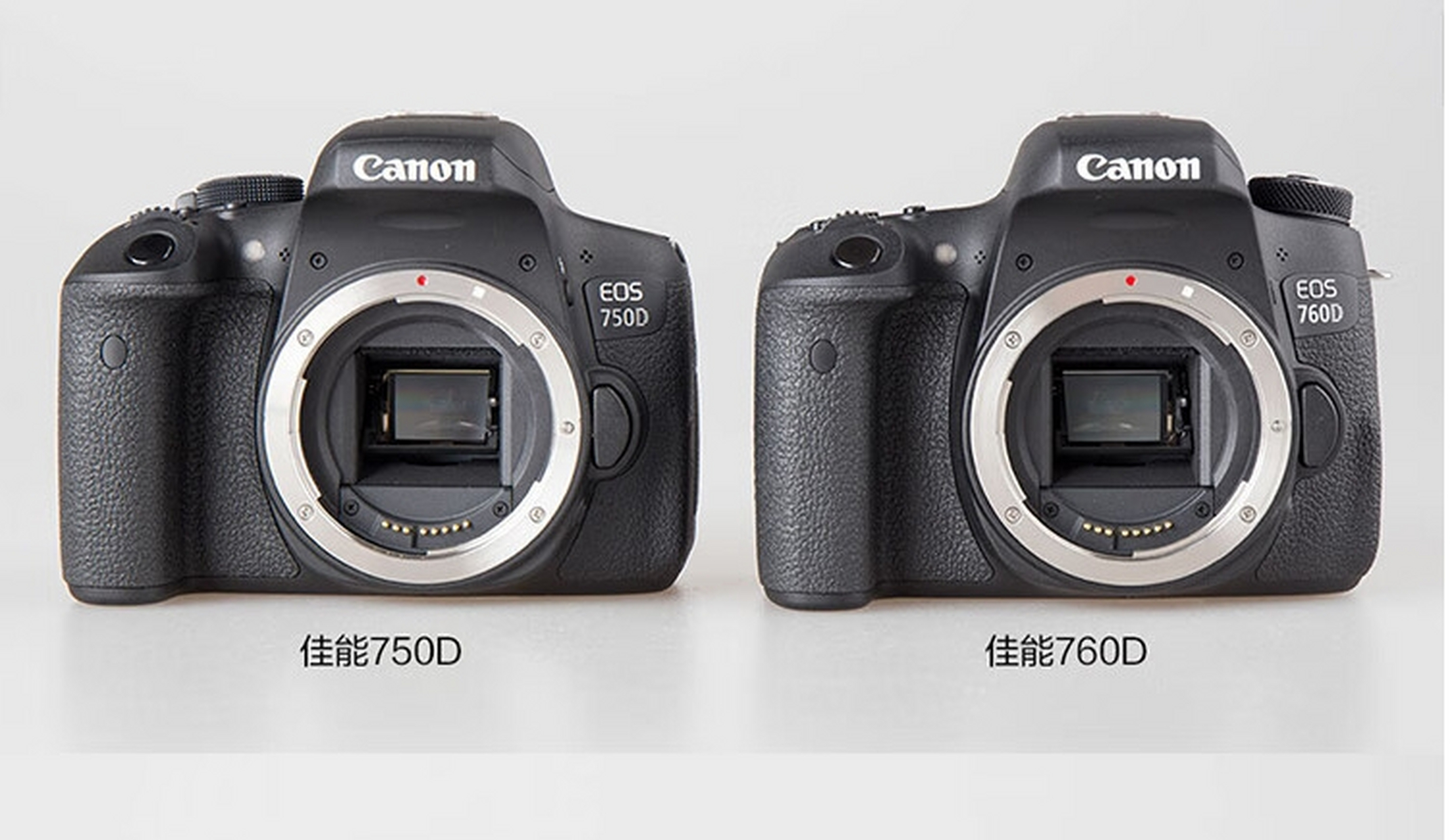 种草春日好物#  佳能eos 600d,700d,750d和760d系列相机作为入门级