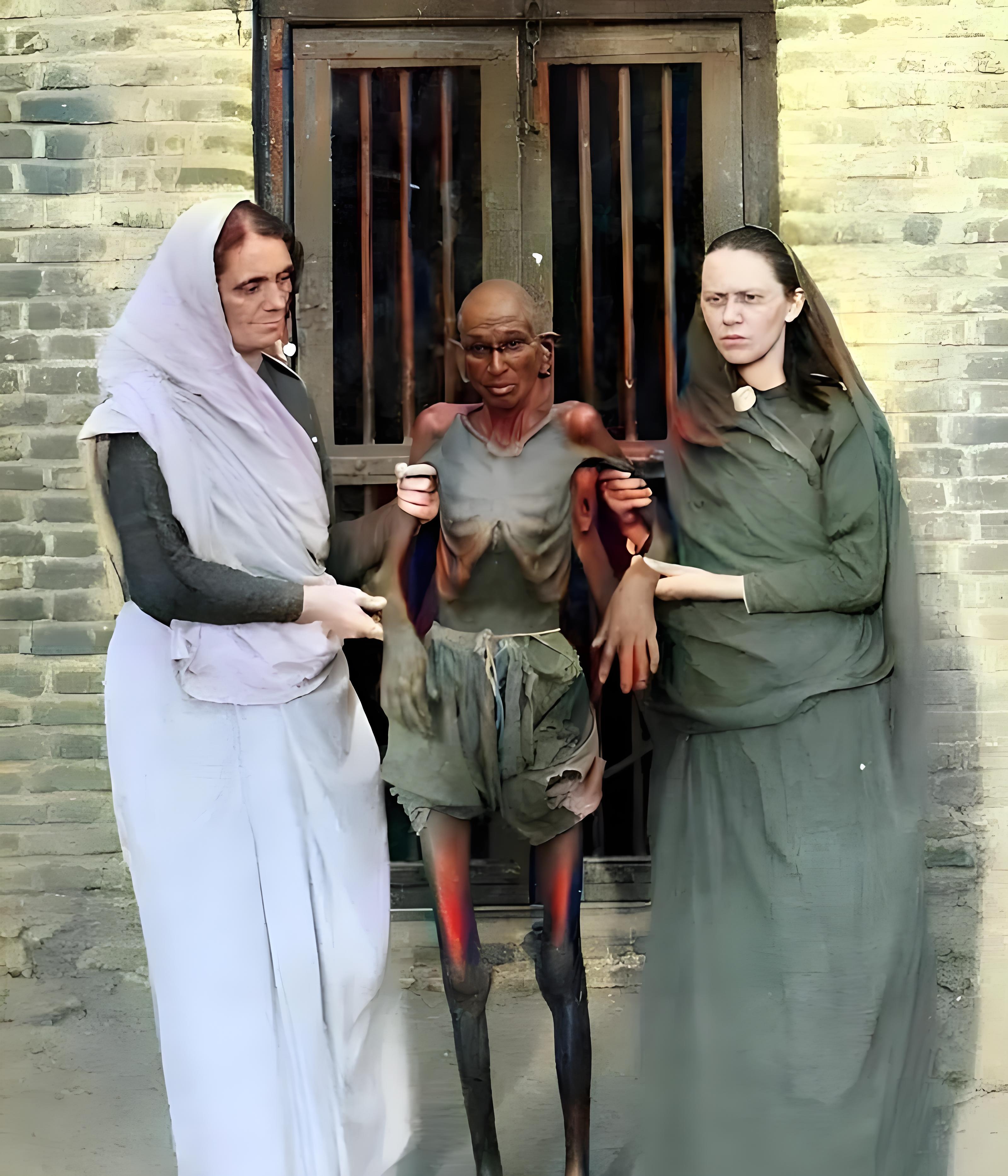 1877年,印度遭遇了一场空前的旱灾,大地龟裂,农作物枯萎,粮食短缺引发