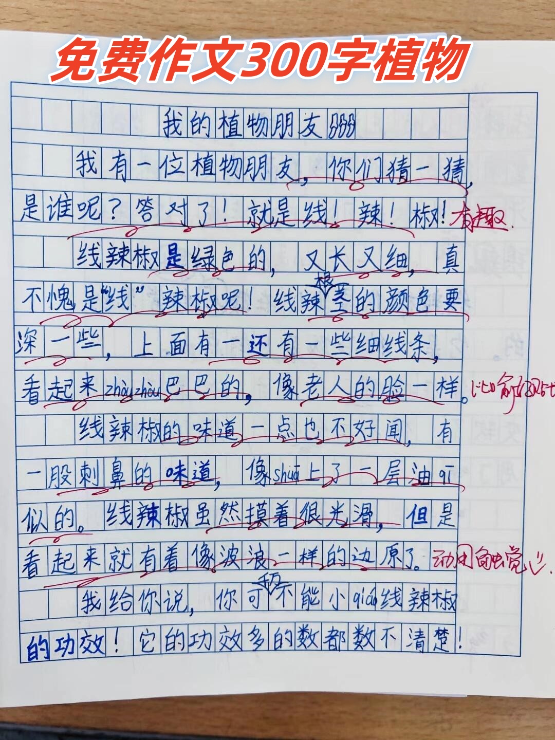 我最喜欢的植物300个字图片