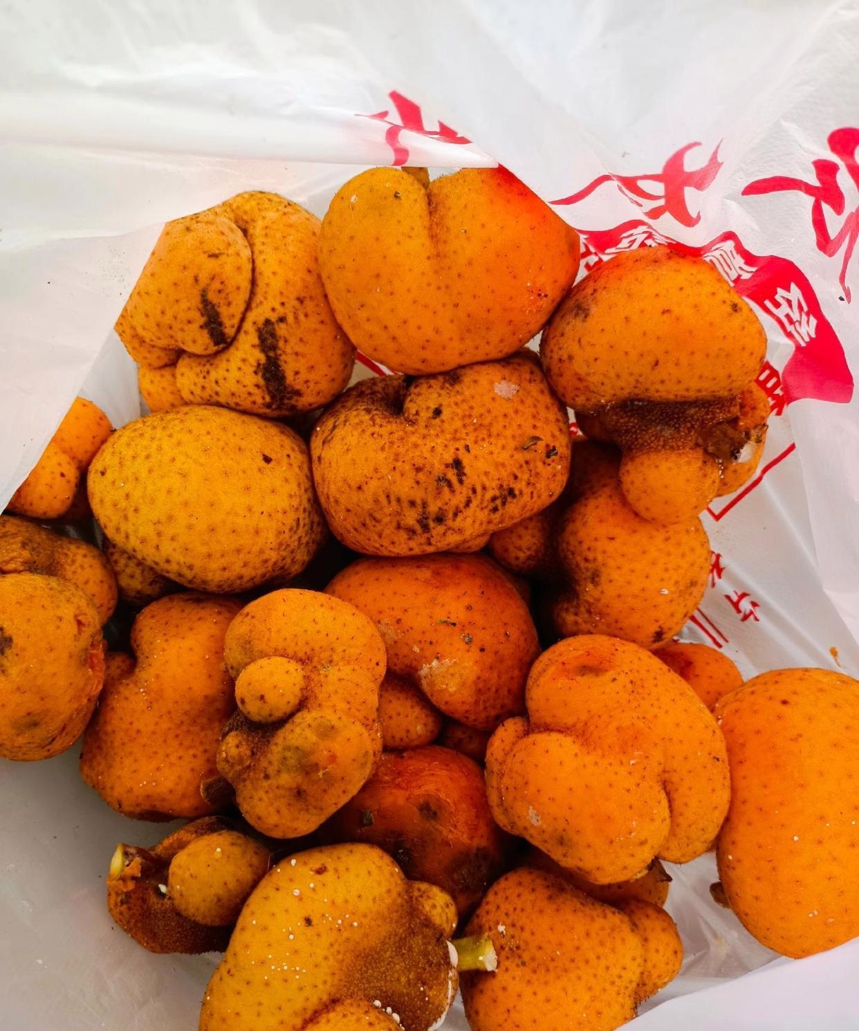 小时候吃过的这种果子,现在在山里又见到了,你吃过这种果子吗?