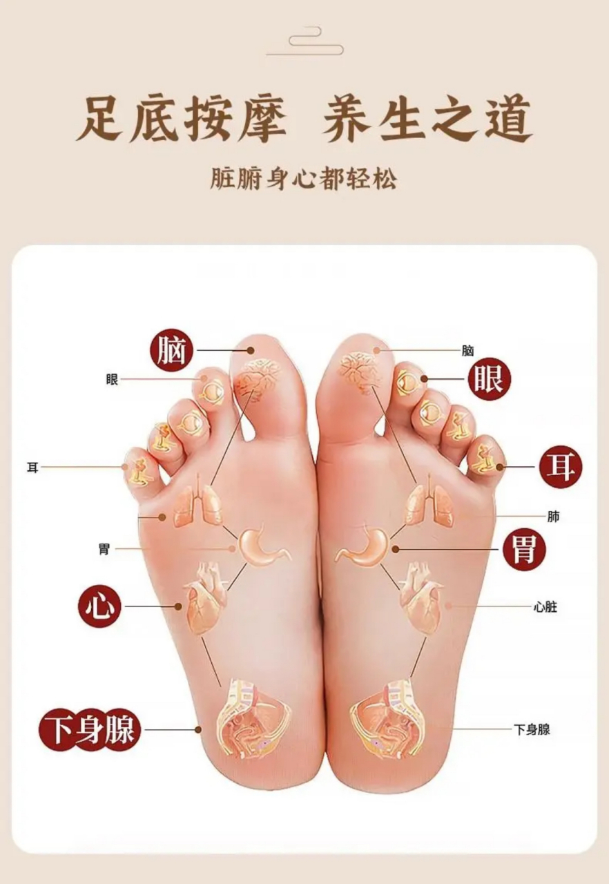 今天我要来种草一个超级赞的家居小物——家用木质脚底按摩器!