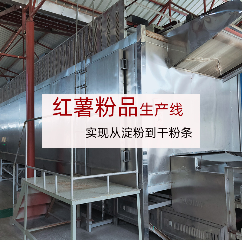 南阳特产之宽粉韭叶粉