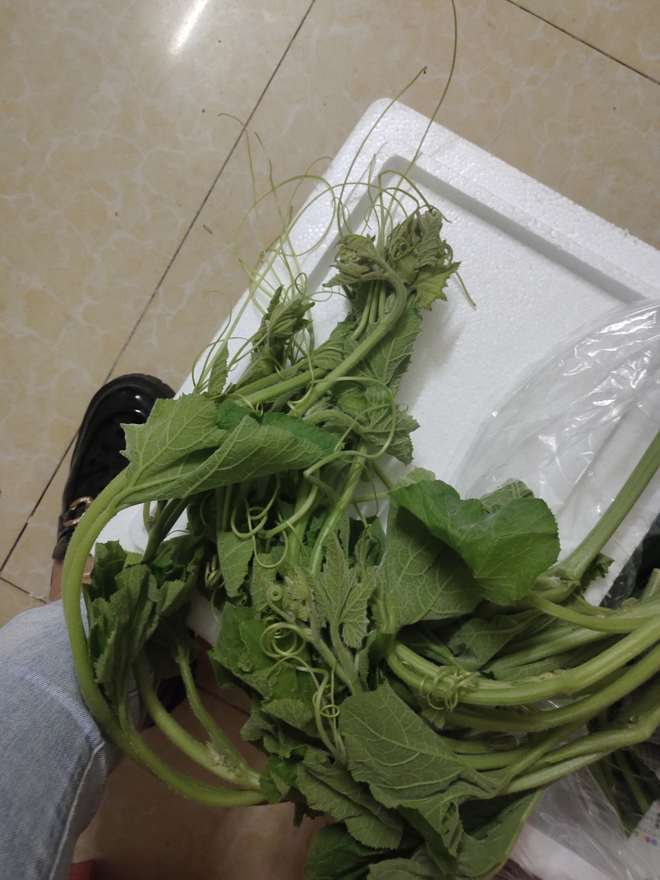 我坑多多卖的广西南瓜芽南瓜花,不可否认,坑多多的单量比某宝多,但